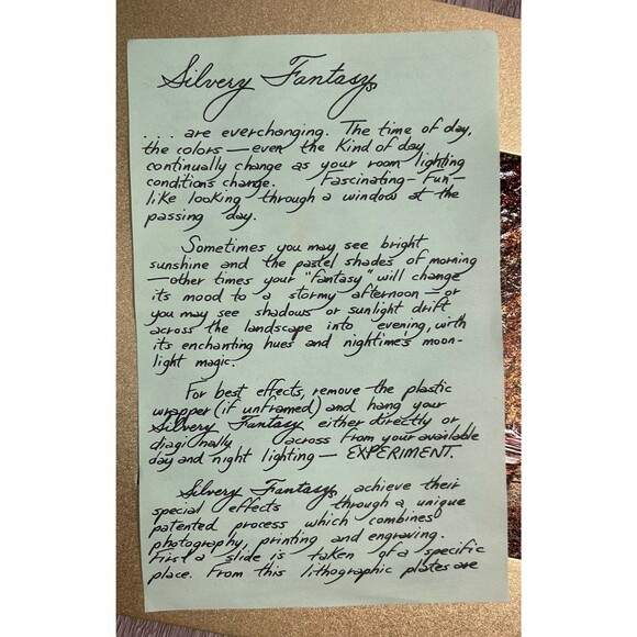 Vintage Silvery Fantasy Foil Engraving Print Fall Leaves Autumn Trees USA - Picture 10 of 13